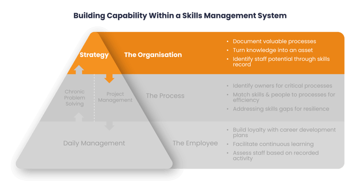 Building Capability within Skills Management