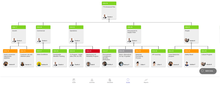 Goal Tree in TeamAssurance